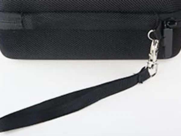 Lanyard